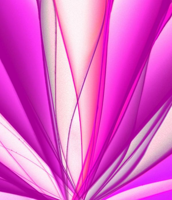 Outline of a person filled with vibrant energy lines and shapes.